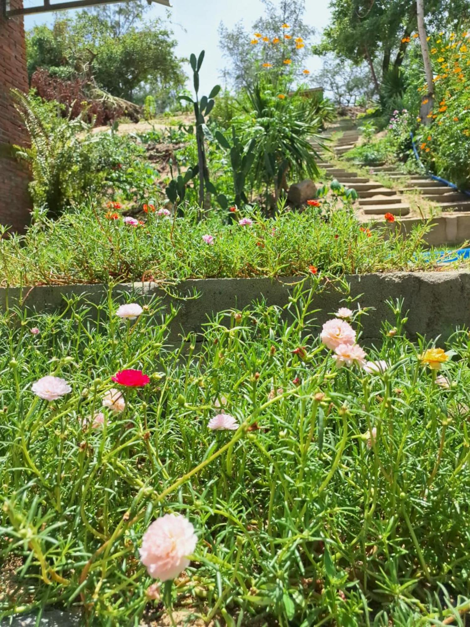 Homestay Dat Phu Tuy Hoa Eksteriør bilde